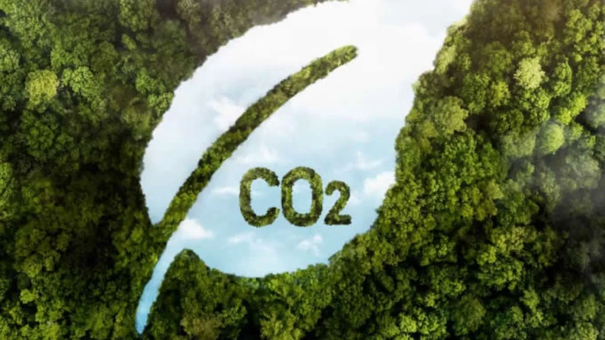 El Senado aprobó el proyecto que crea el marco regulatorio para los mercados de carbono