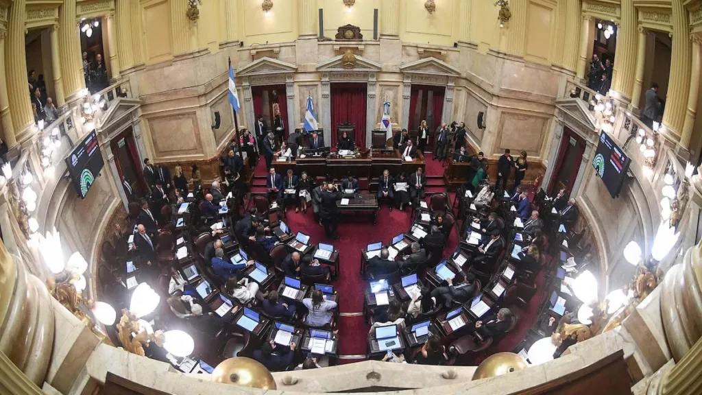 El Senado aprobó la reforma de la Ley de Salud Mental y pasó a Diputados