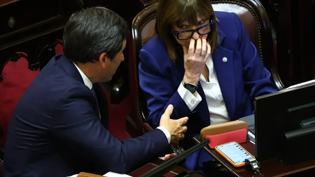 El Senado aprobó la reforma de la Ley de Salud Mental y pasó a Diputados
