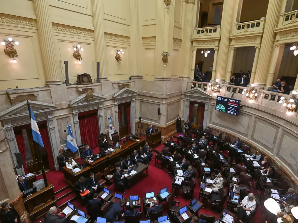 El Senado aprobó la reforma de la Ley de Salud Mental y pasó a Diputados