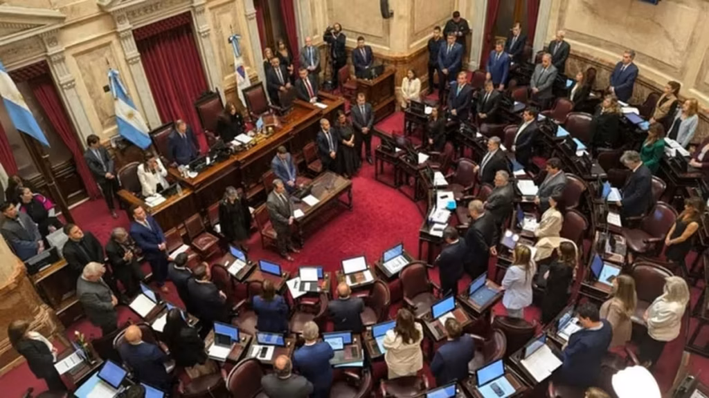 El Senado aprobó la reforma de la Ley de Salud Mental y pasó a Diputados